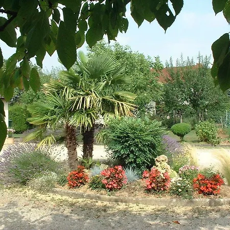 D'hotes Bel'vue 3* Chauvigny